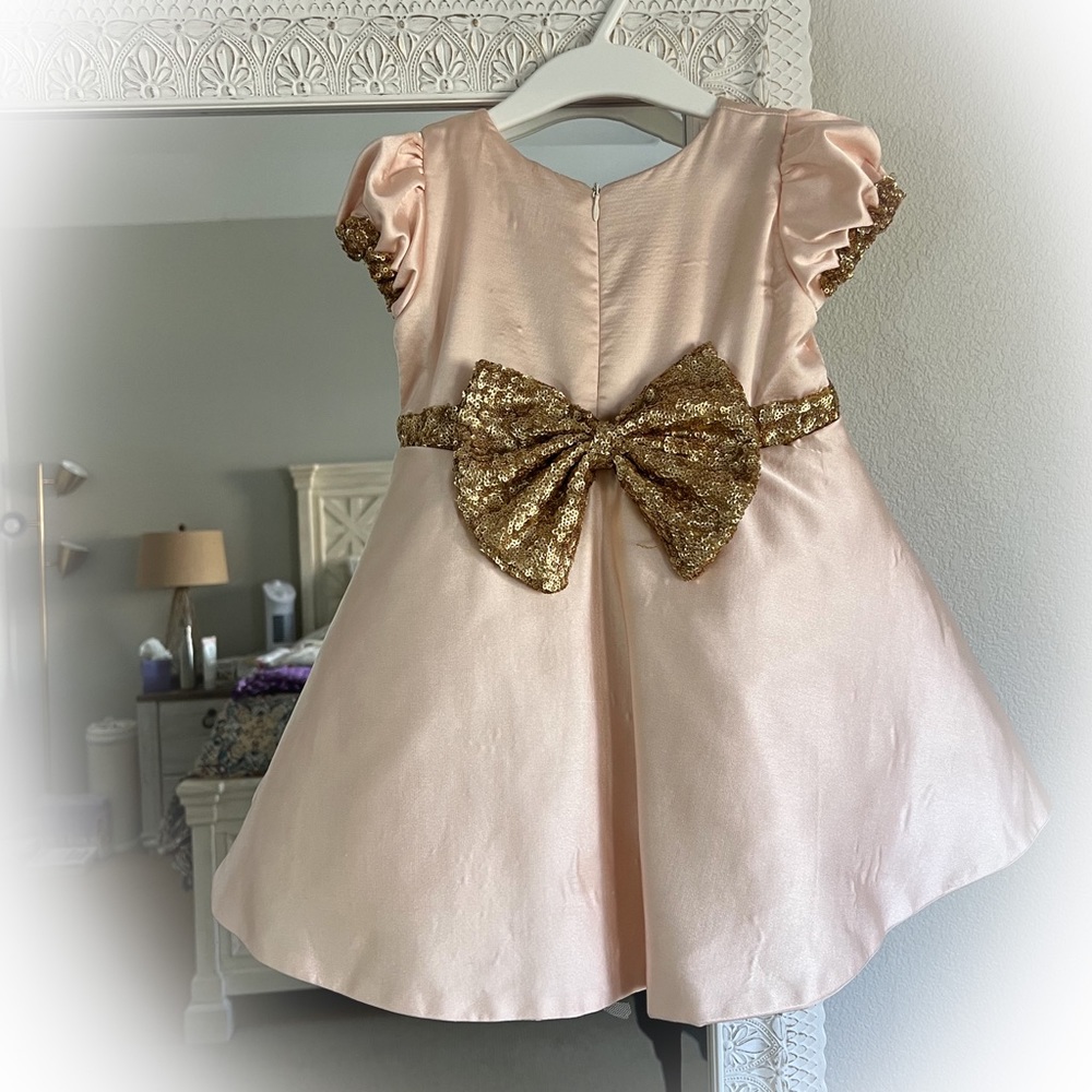 Flower girl / Birthday Dress